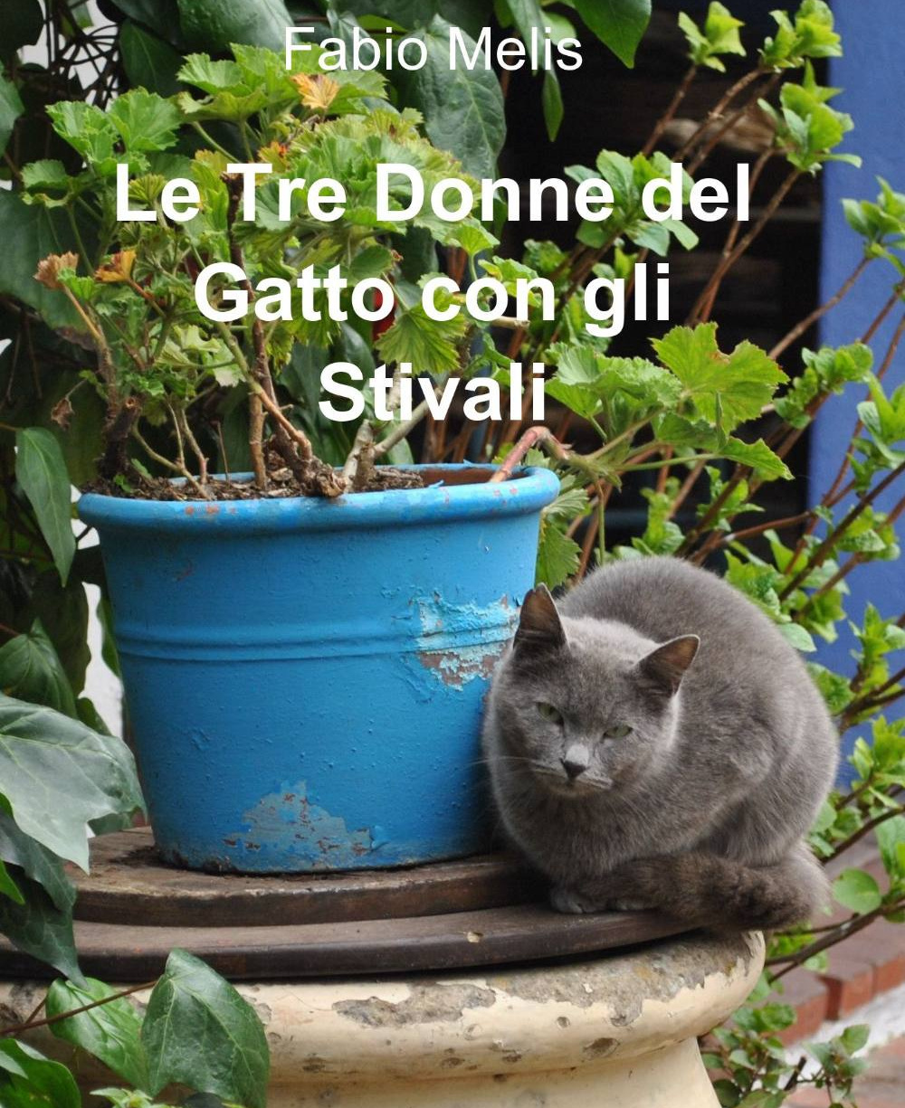 Le tre donne del gatto con gli stivali