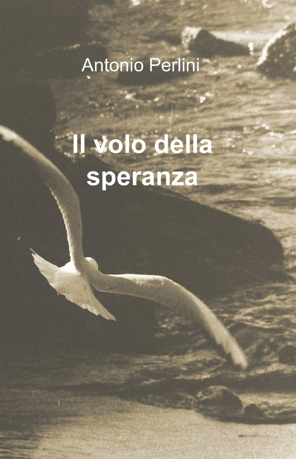 Il volo della speranza