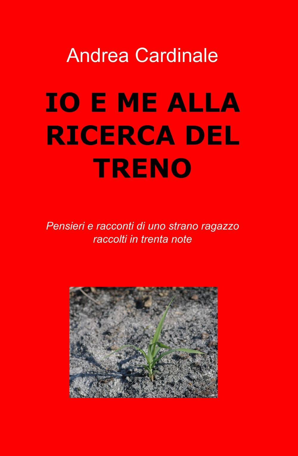 Io e me alla ricerca del treno