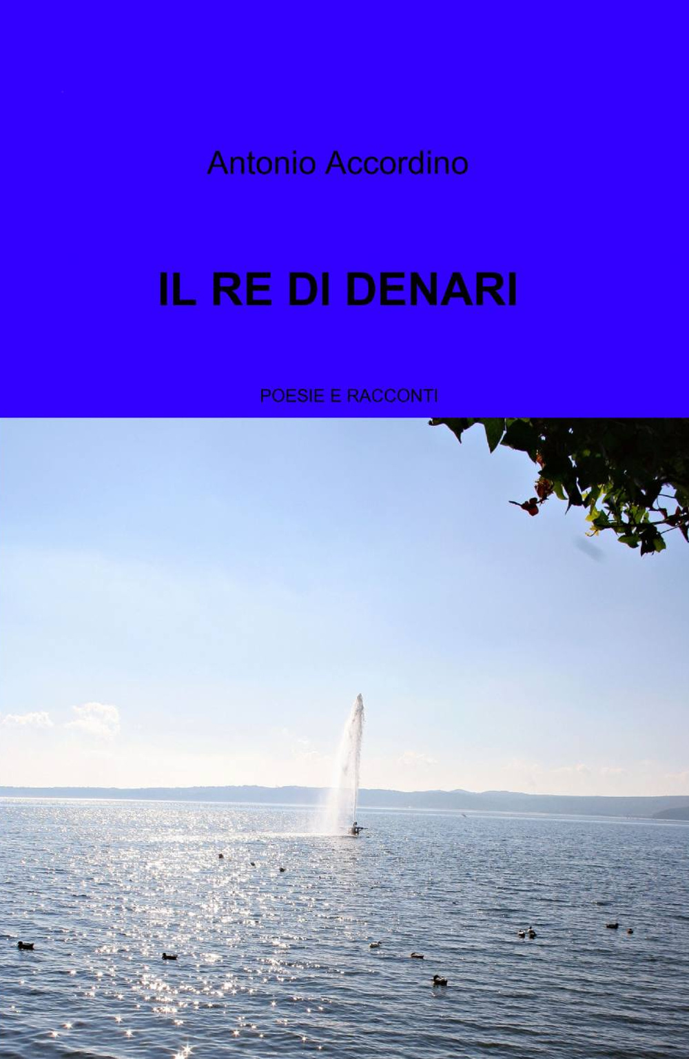 Il re di denari
