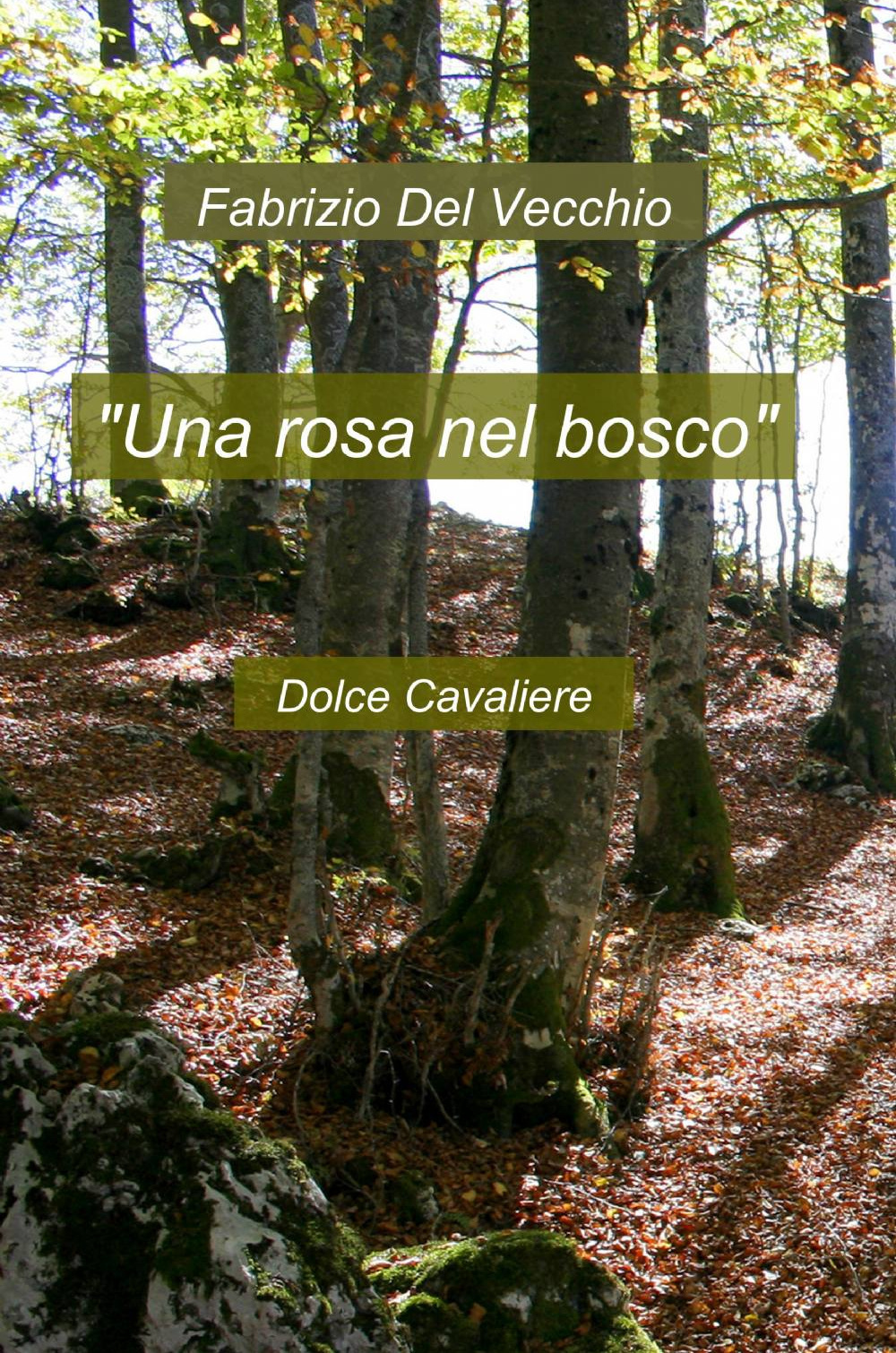 Una rosa nel bosco