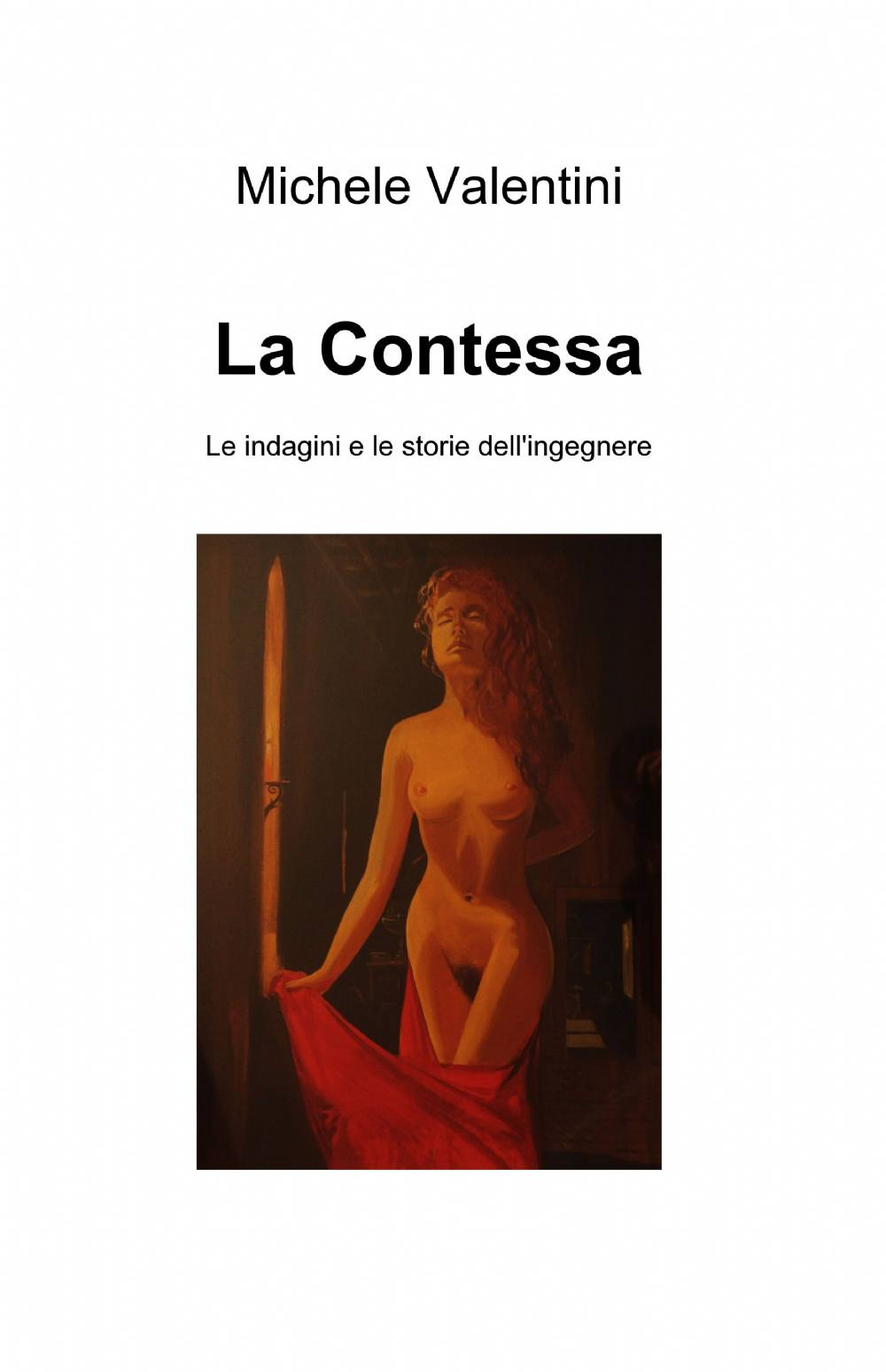 La contessa. Le indagini e le storie dell'ingegnere