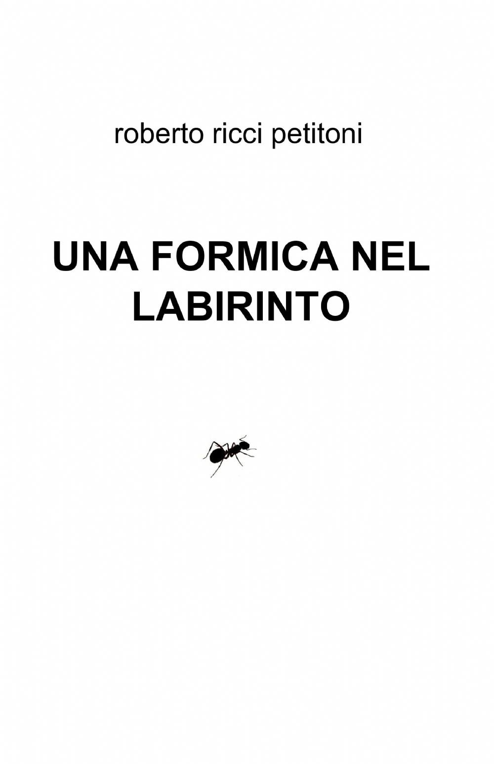Una formica nel labirinto