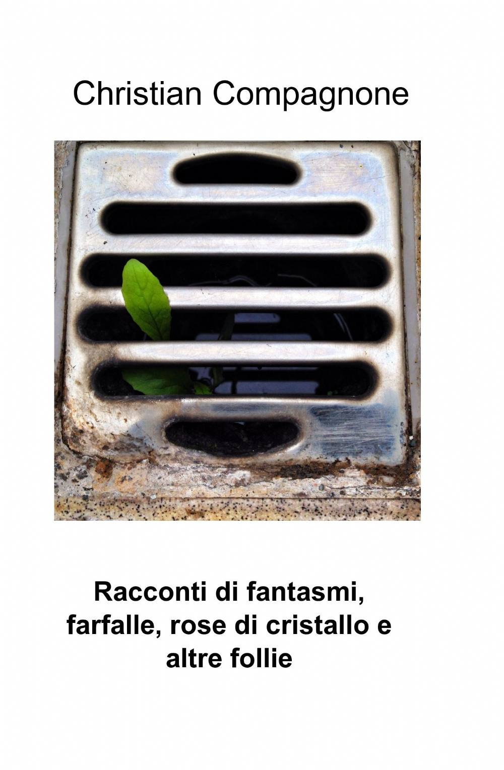 Racconti di fantasmi, farfalle, rose di cristallo e altre follie