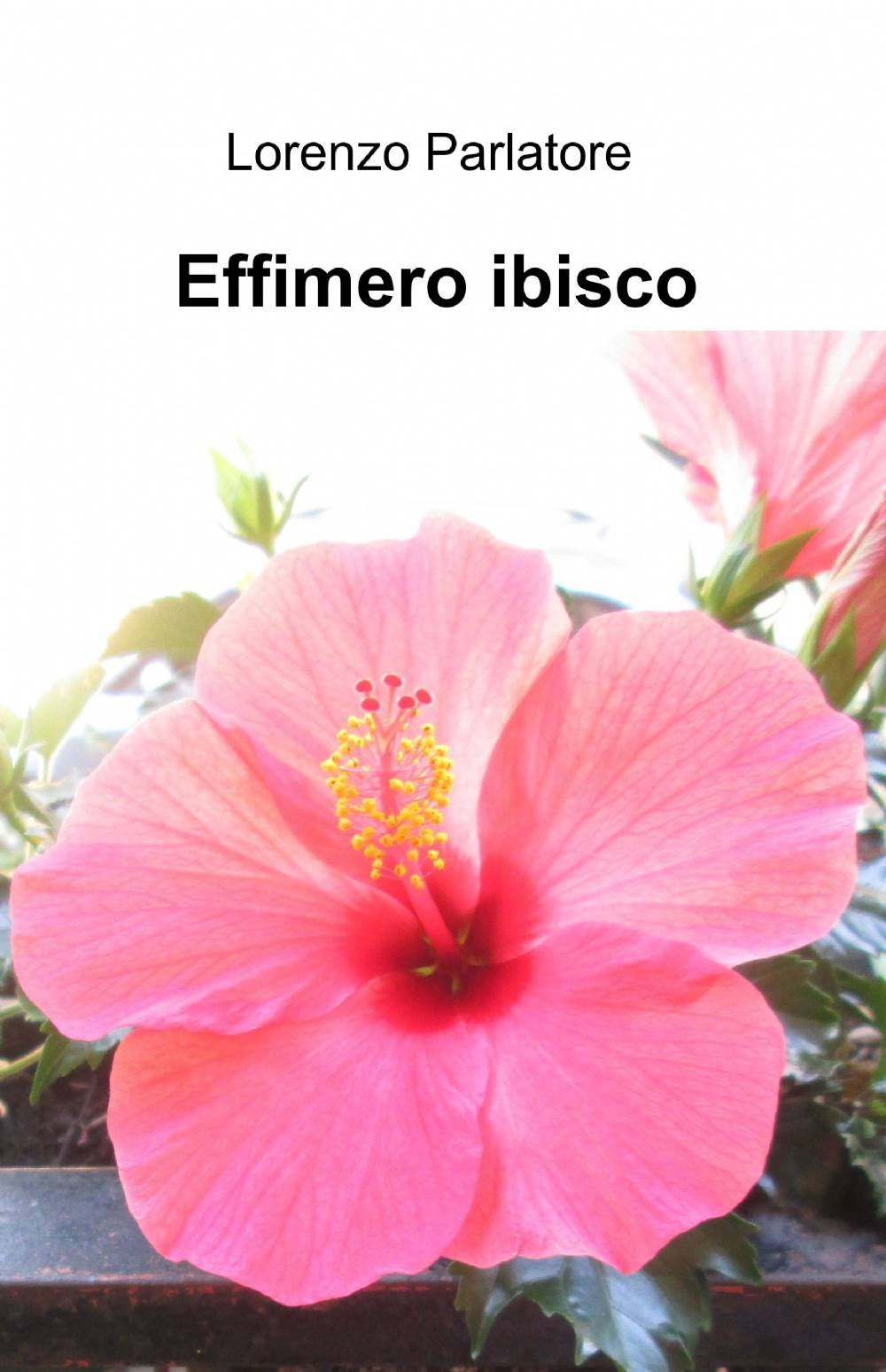 Effimero ibisco