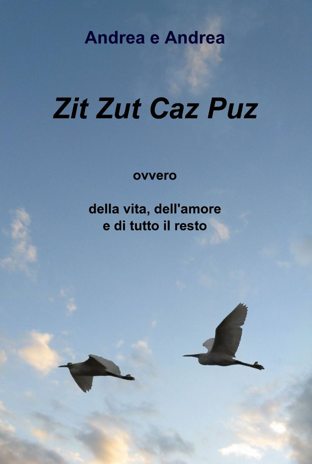 Zit zut caz puz