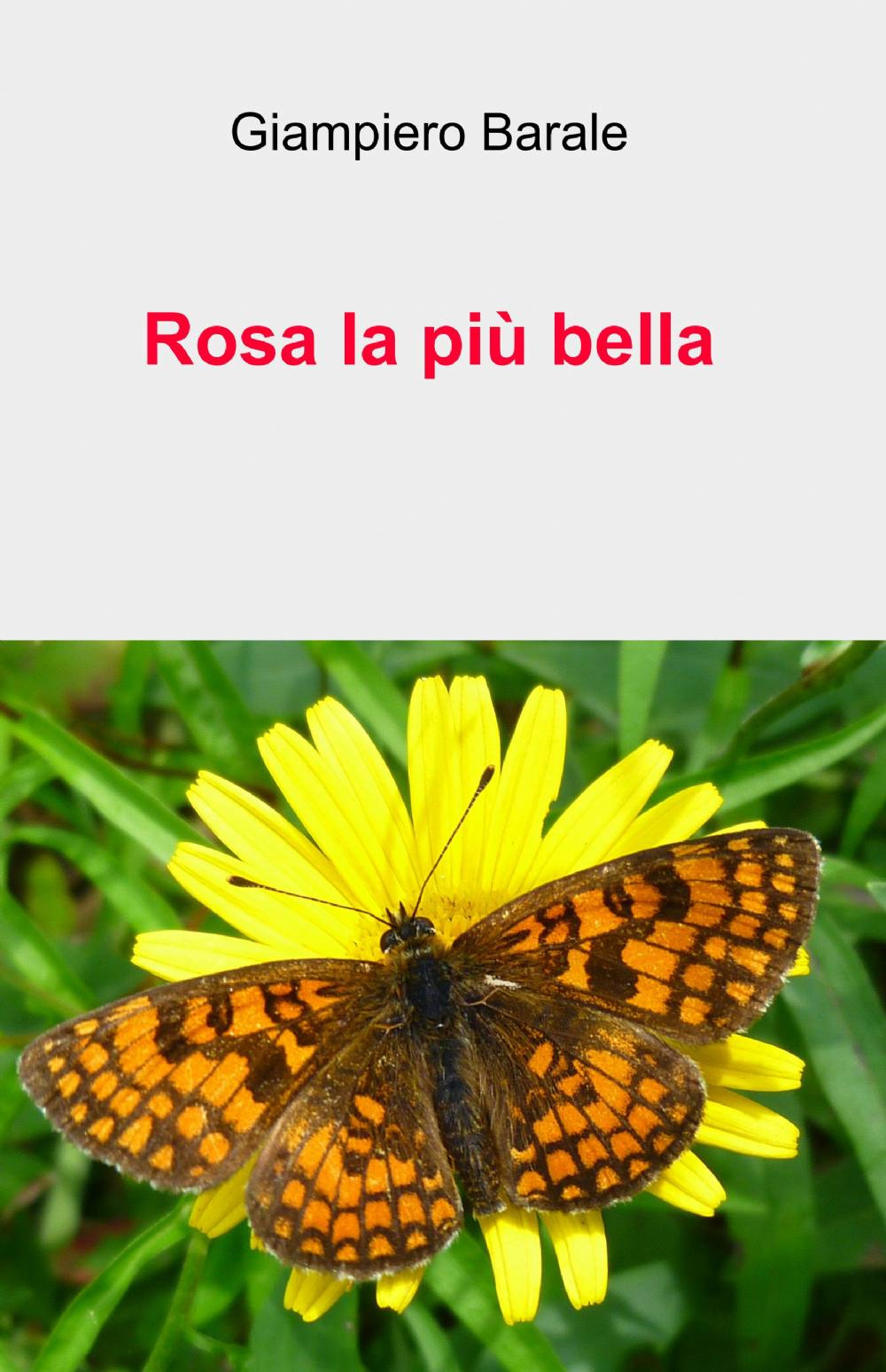 Rosa la più bella