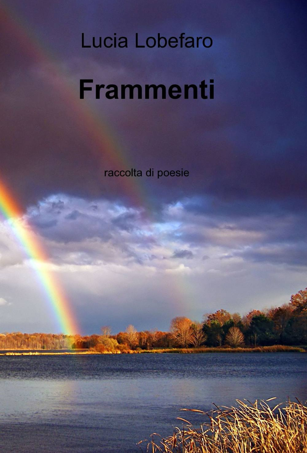 Frammenti