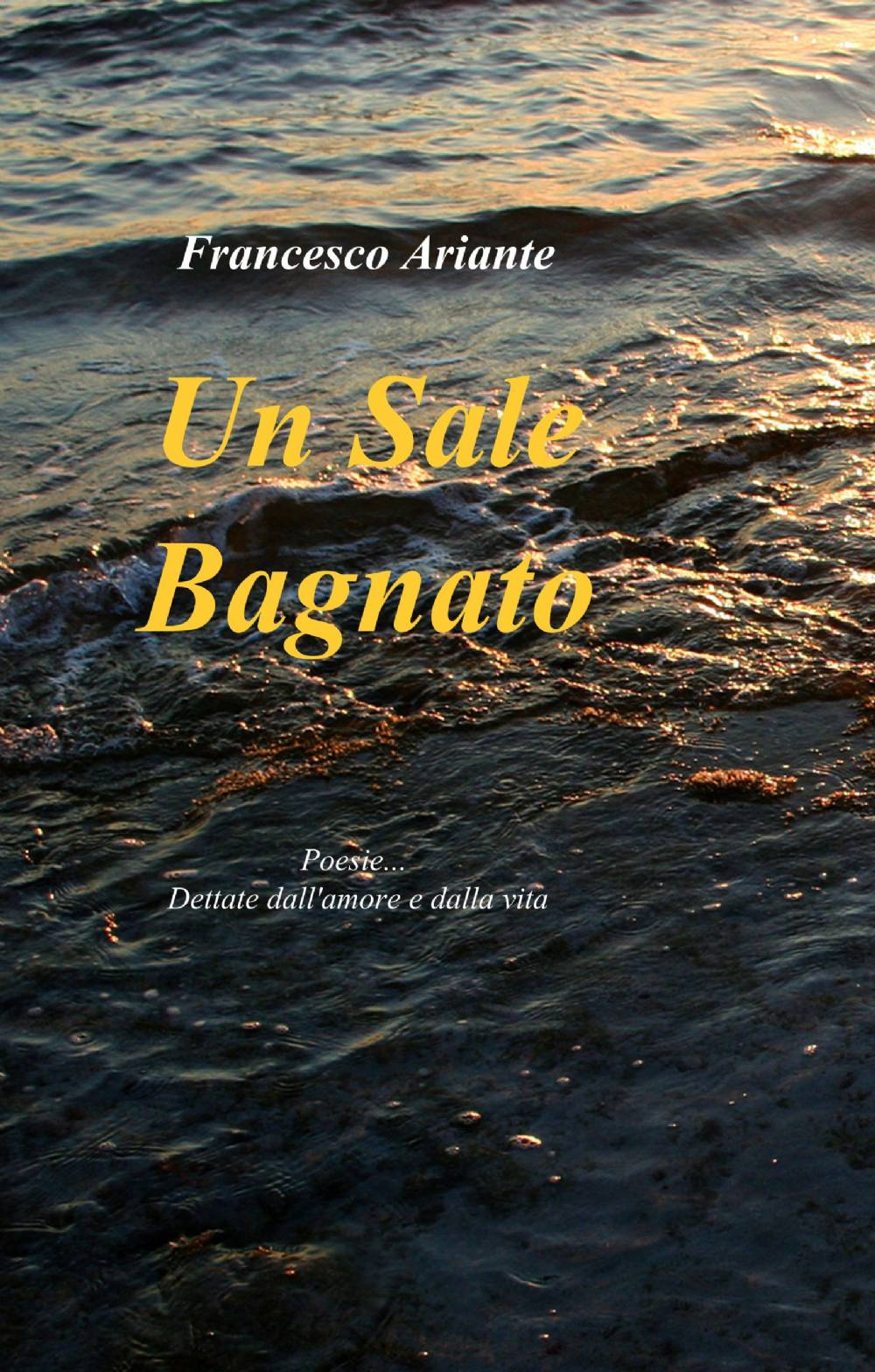 Un sale bagnato