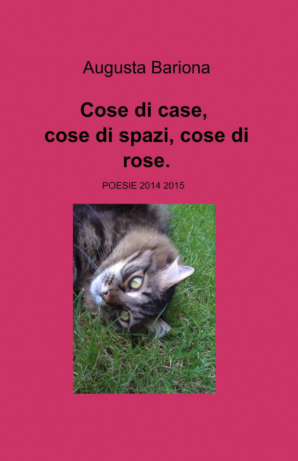 Cose di case, cose di spazi, cose di rose