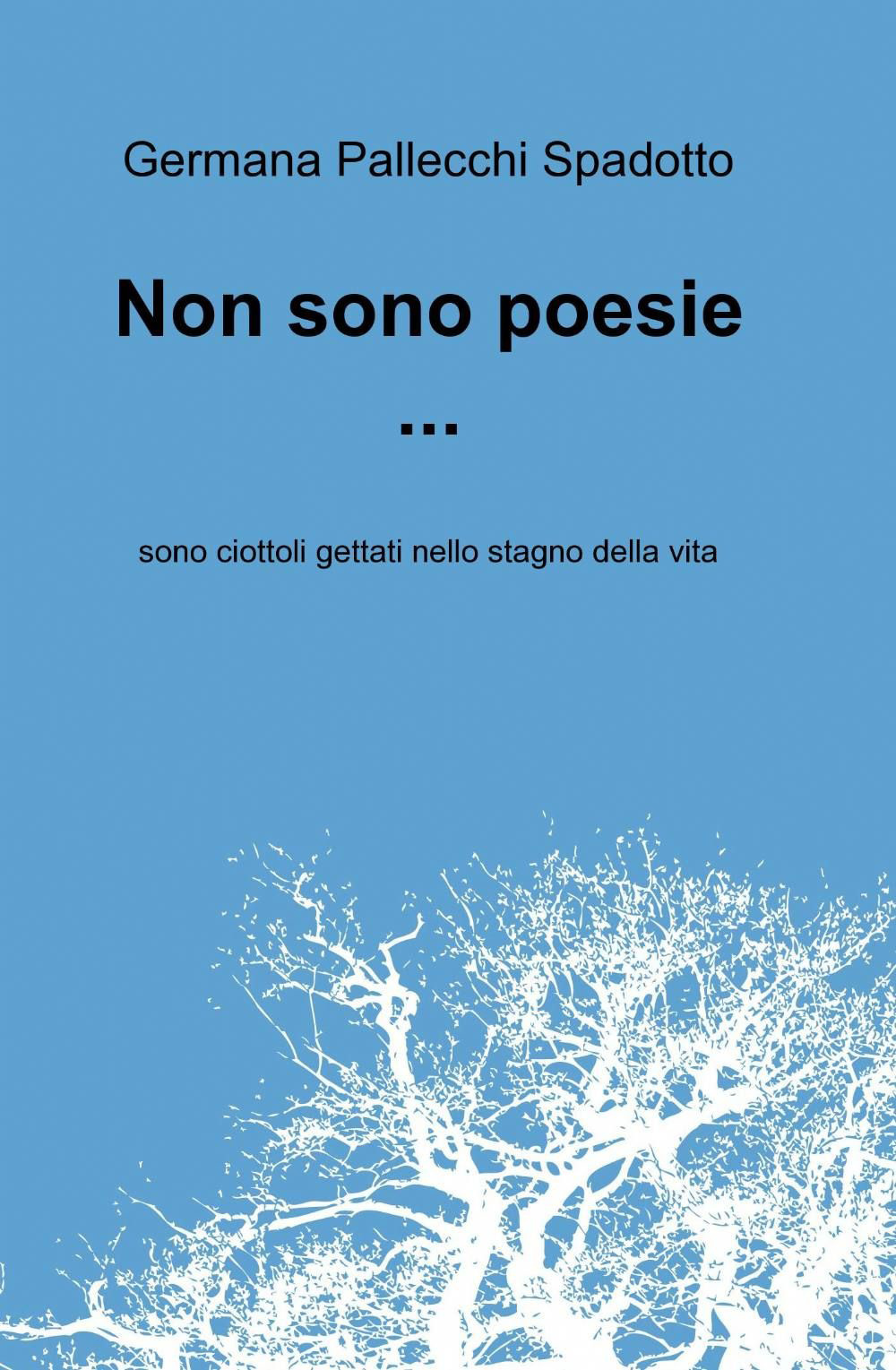 Non sono poesie...