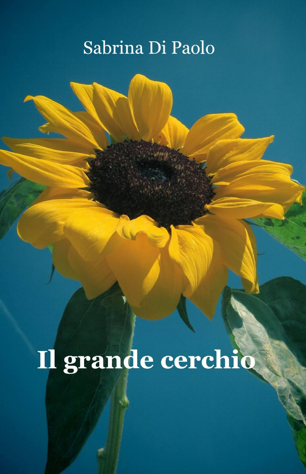 Il grande cerchio