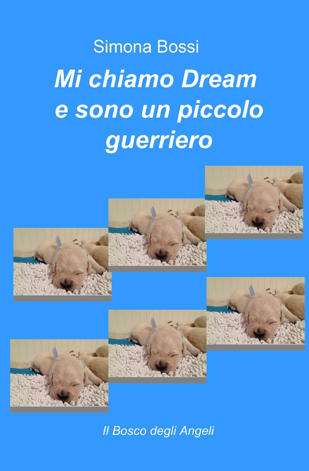Mi chiamo Dream e sono un piccolo guerriero