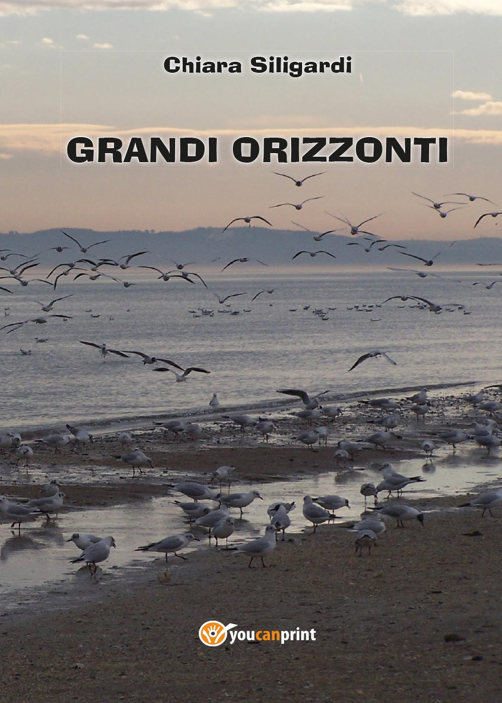 Grandi orizzonti