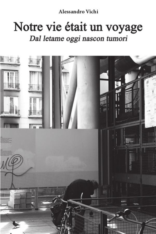 Notre vie était un voyage. Ediz. italiana