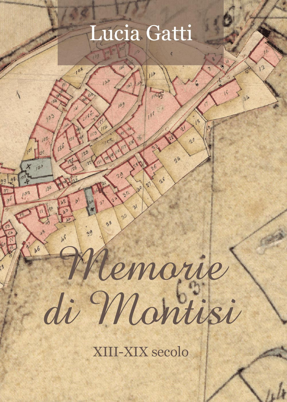 Memorie di Montisi. XIII-XIX secolo