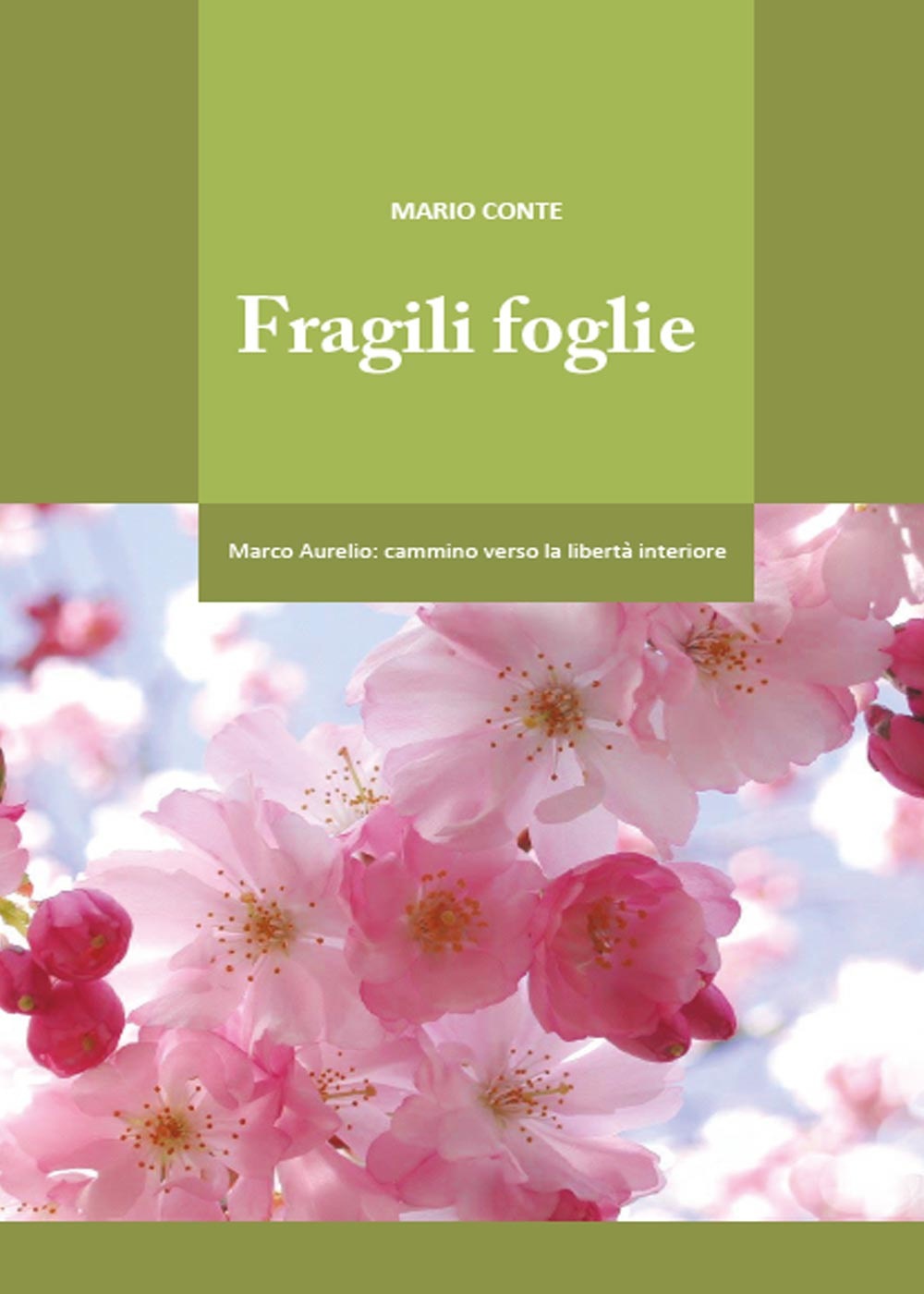 Fragili foglie. Marco Aurelio: cammino verso la libertà interiore