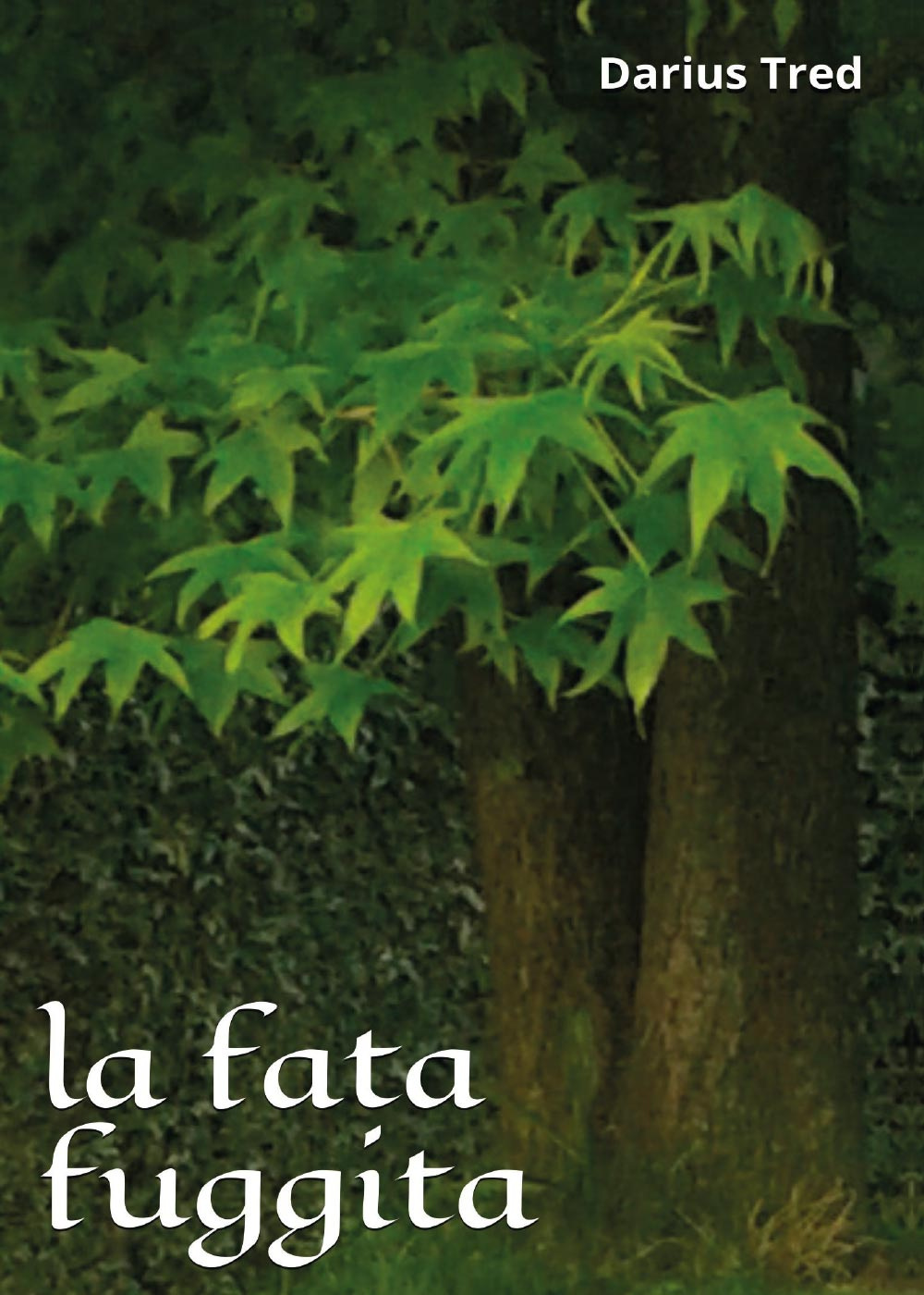 La fata fuggita