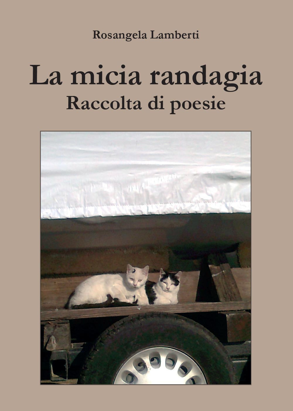 La micia randagia