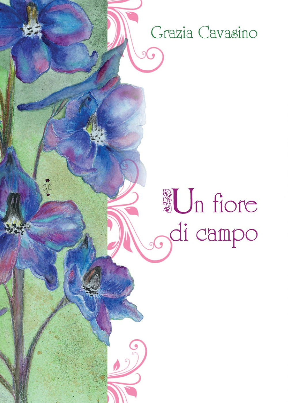 Un fiore di campo