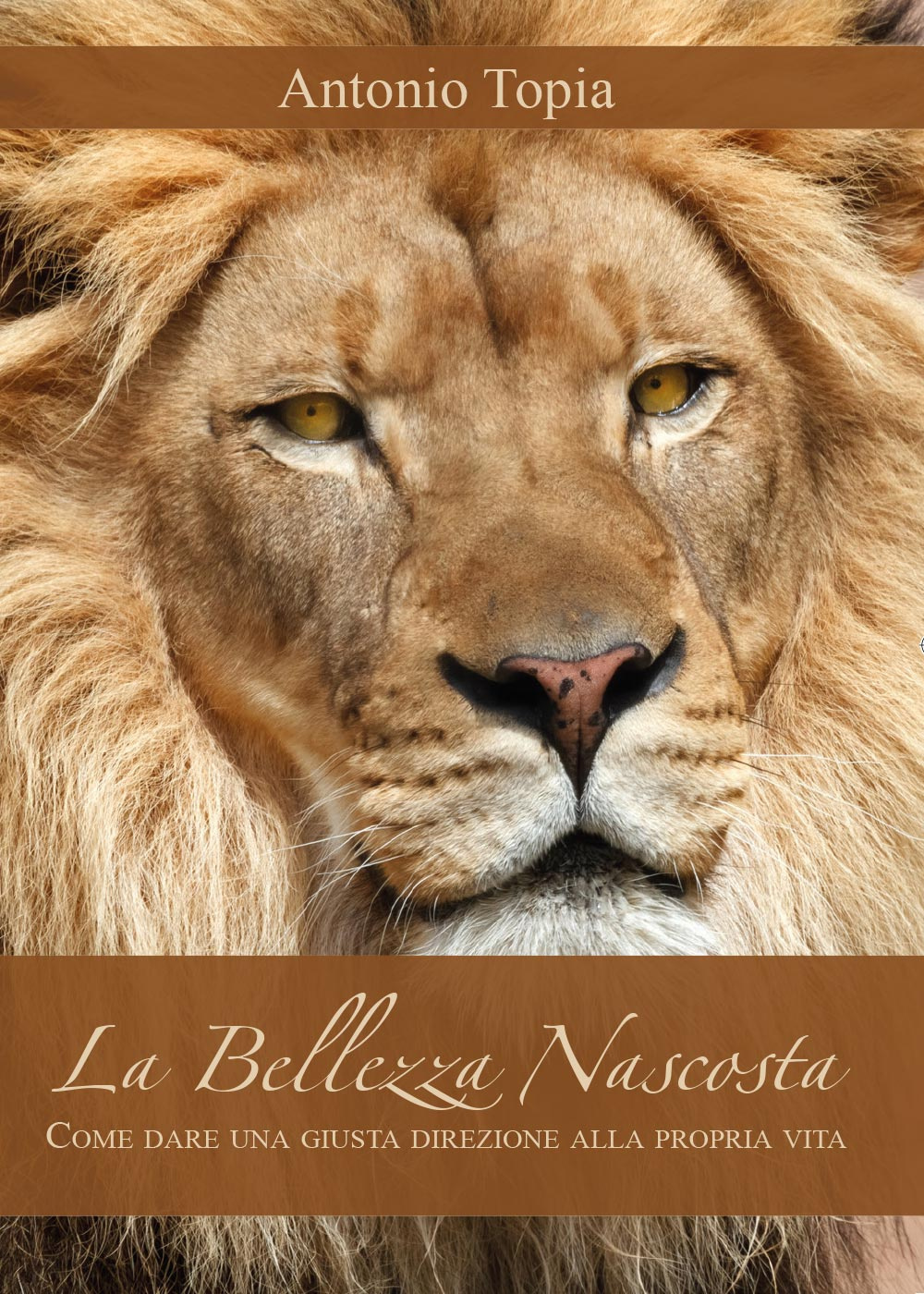 La bellezza nascosta. Come dare una giusta direzione alla propria vita