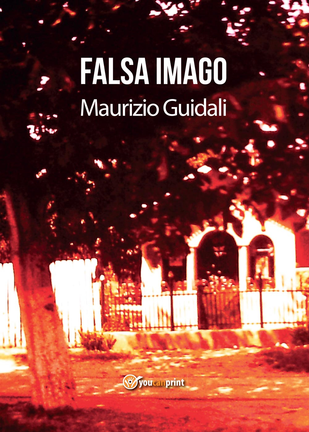 Falsa imago