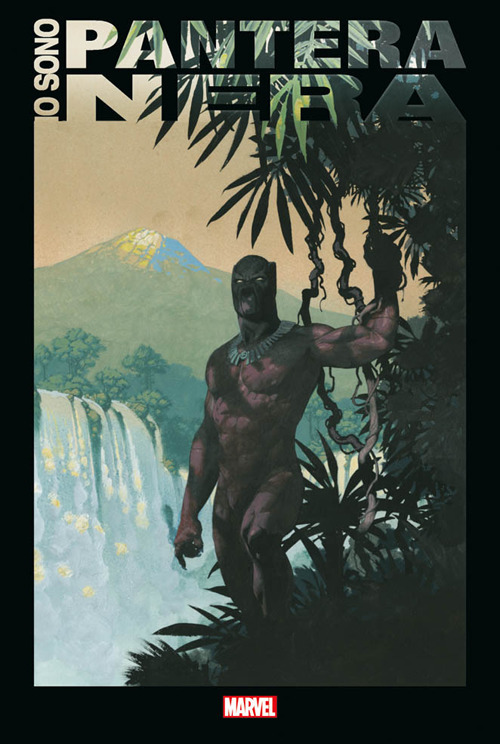 Io sono Pantera Nera