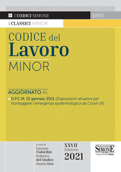 Codice del lavoro. Ediz. minore