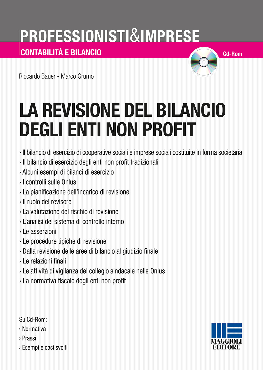 La revisione del bilancio degli enti non profit