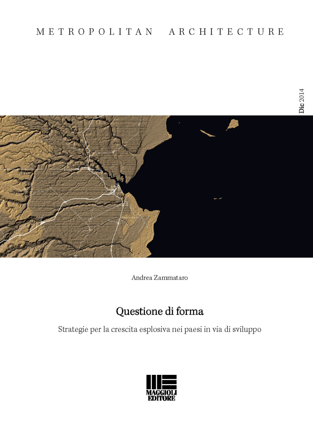 Questione di forma. Strategie per la crescita esplosiva nei paesi in via di sviluppo