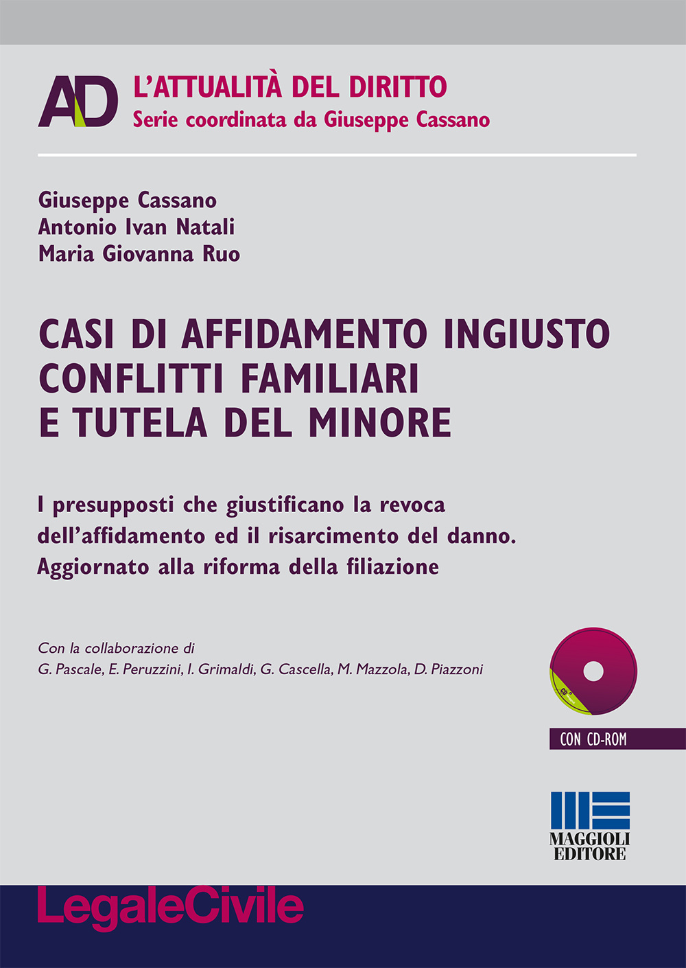 Casi di affidamento ingiusto conflitti familiari e tutela del minore