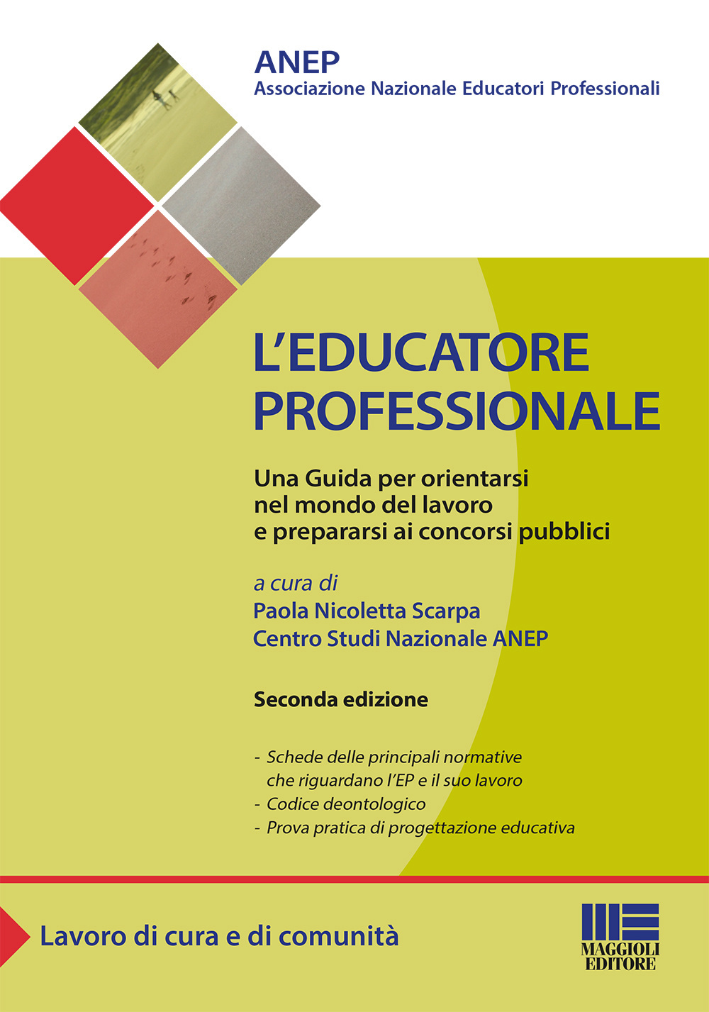 L'educatore professionale. Una guida per orientarsi nel mondo del lavoro e prepararsi ai concorsi pubblici