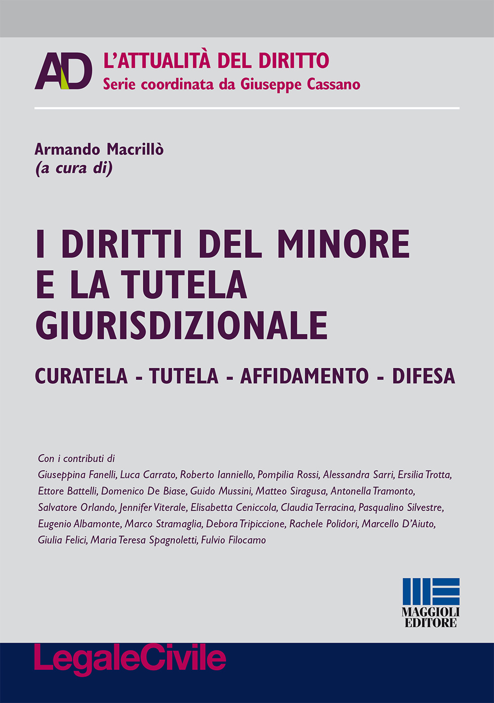 I diritti del minore e la tutela giurisdizionale