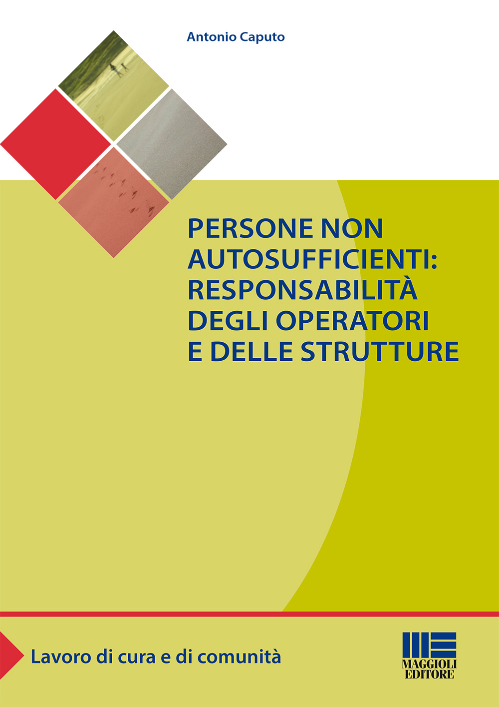 Persone non autosufficienti. Responsabilità degli operatori e delle strutture