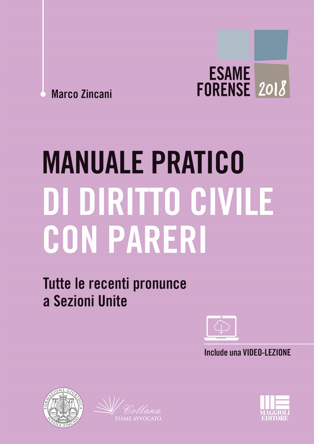 Manuale pratico di diritto civile con pareri. Tutte le recenti pronunce a Sezioni Unite