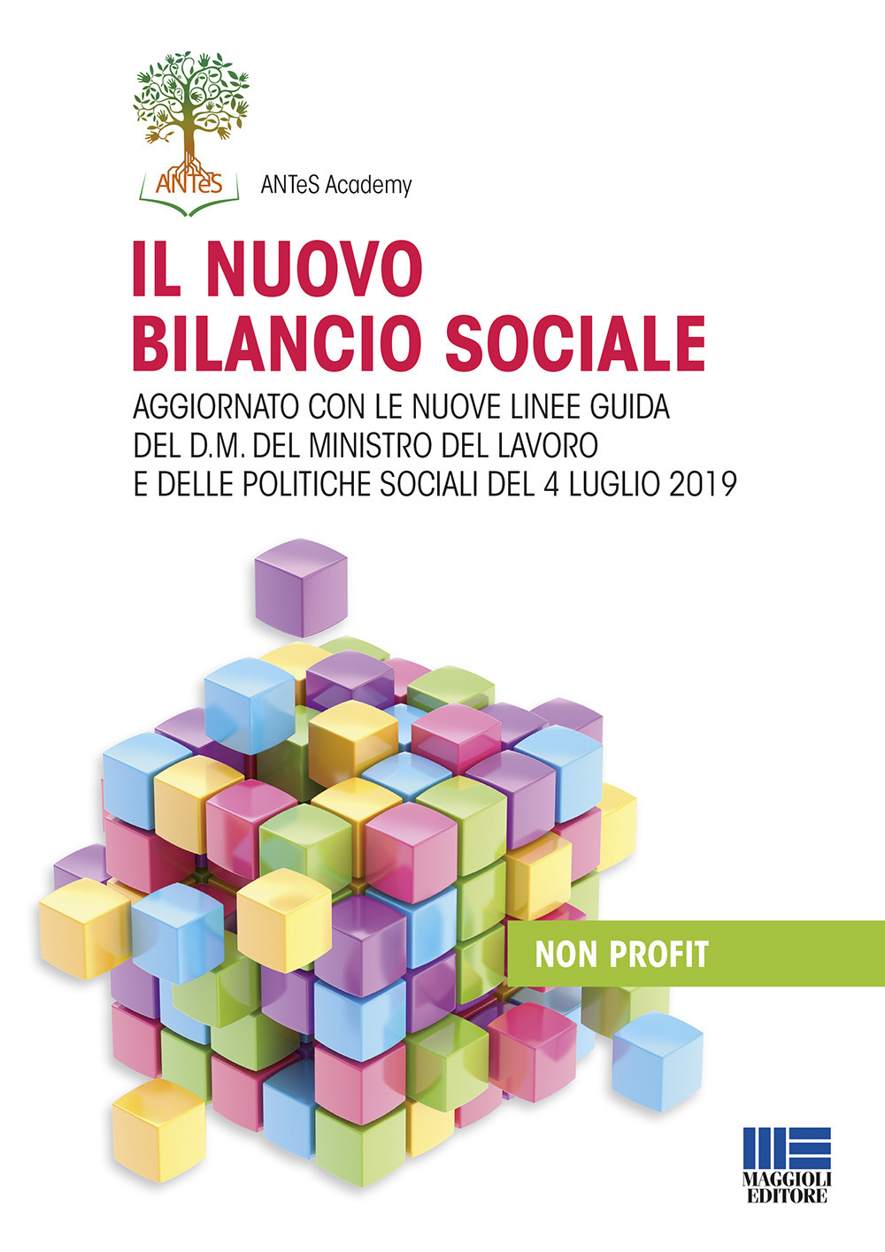 Il nuovo bilancio sociale. Aggiornato con le nuove linee guida del d.m. del ministro del lavoro e delle politiche sociali del 4 luglio 2019