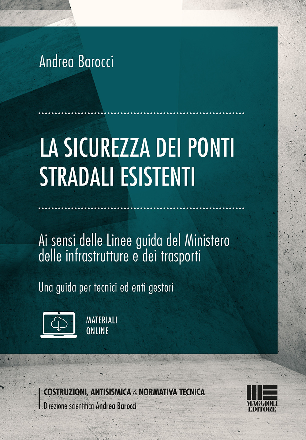 La sicurezza dei ponti stradali esistenti. Ai sensi delle Linee guida del Ministero delle infrastrutture e dei trasporti. Una guida per tecnici ed enti gestori
