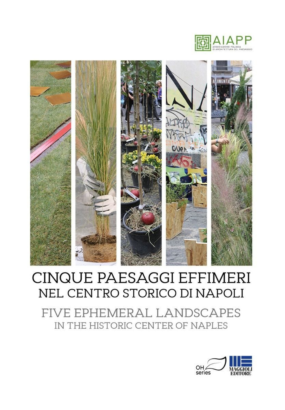 Cinque paesaggi effimeri nel centro storico di Napoli