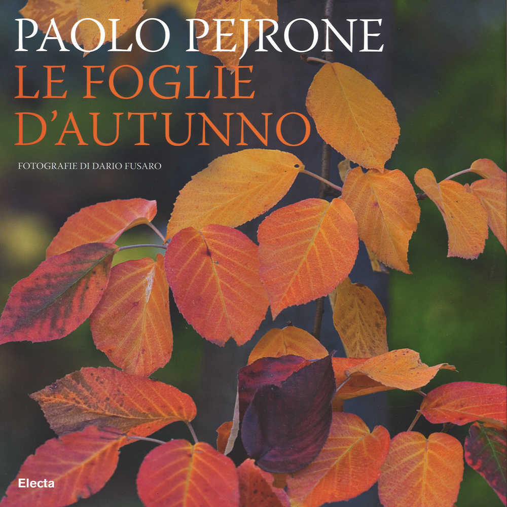 Le foglie d'autunno