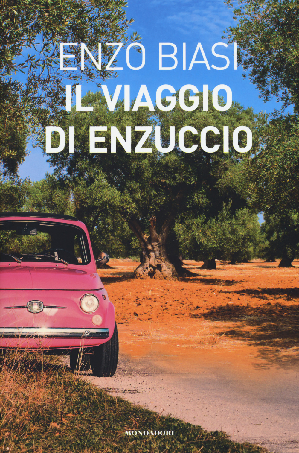 Il viaggio di Enzuccio