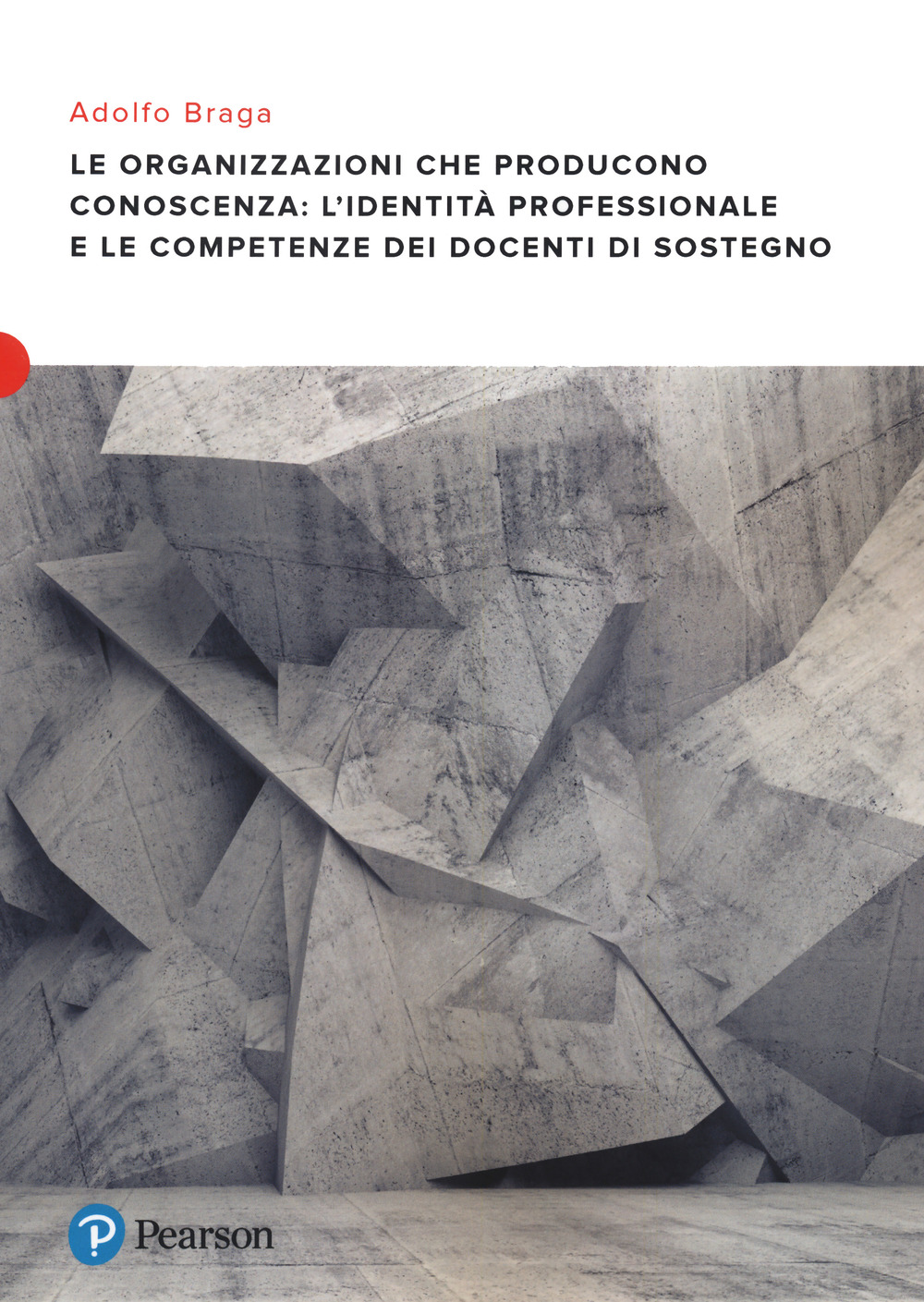 Le organizzazioni che producono conoscenza: l’identità professionale e le competenze dei docenti di sostegno