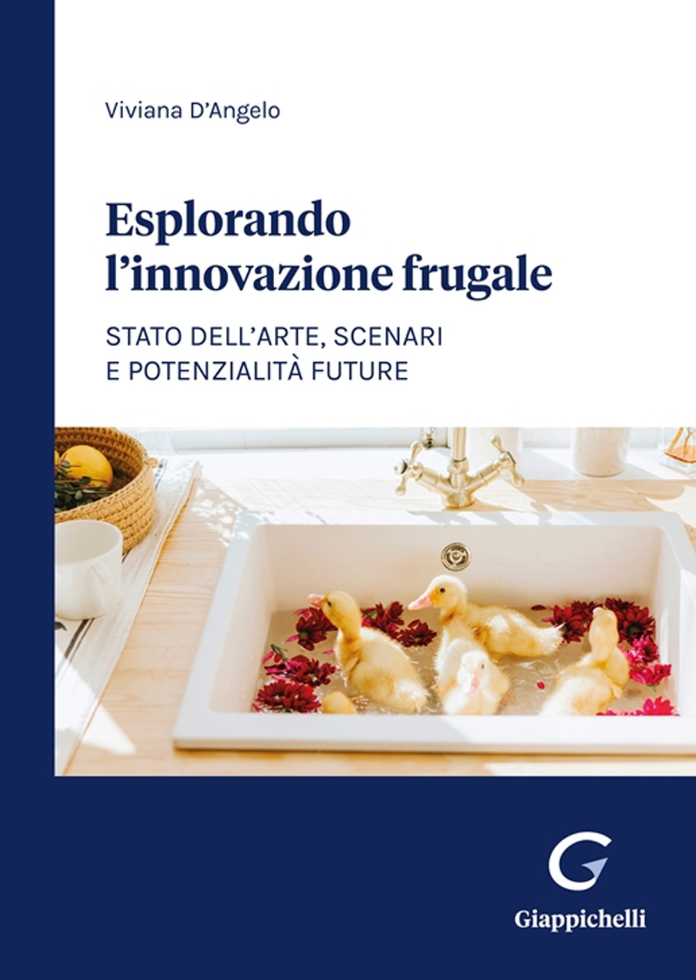 Esplorando l'innovazione frugale. Stato dell’arte, scenari e potenzialità future