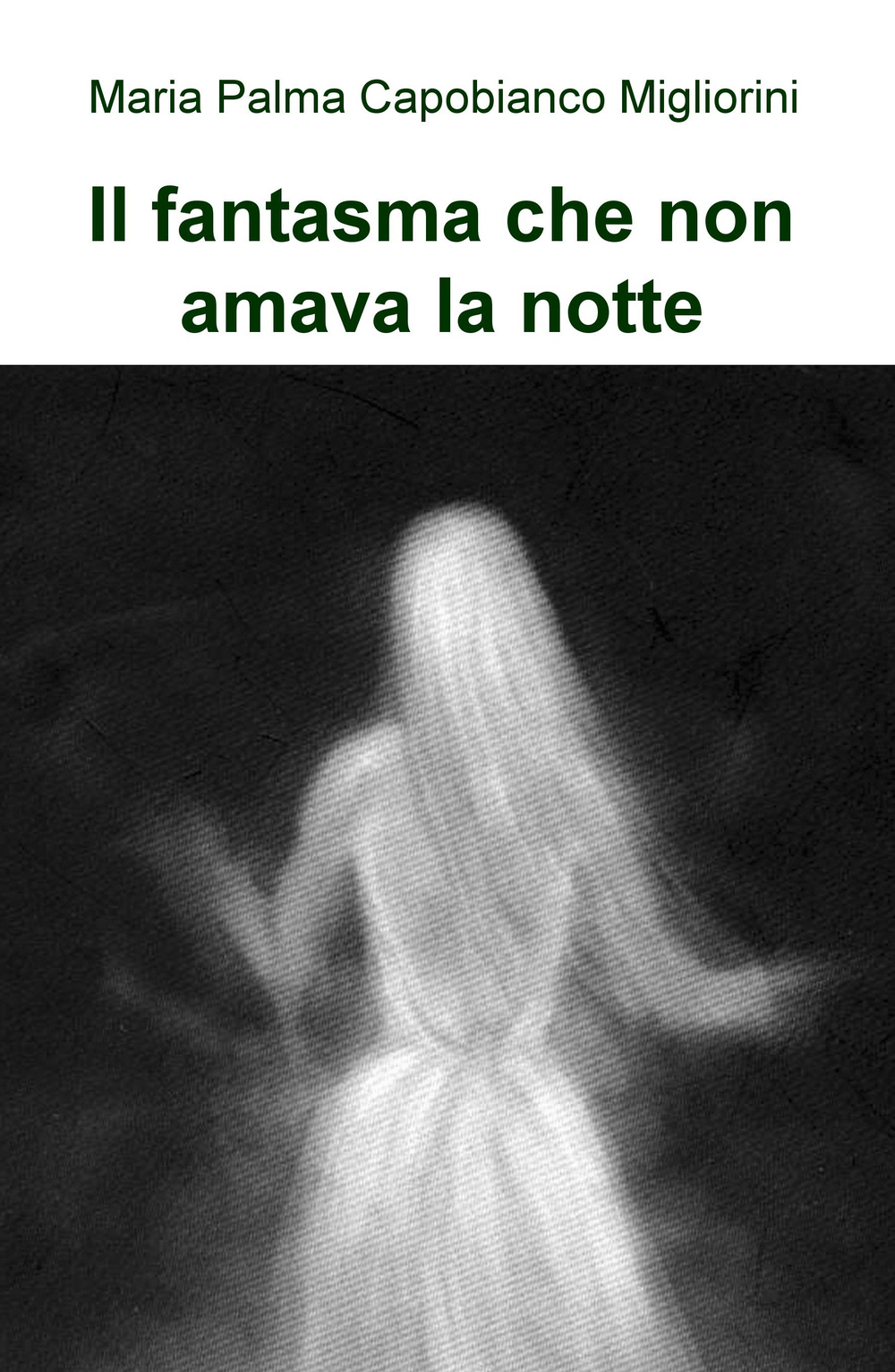 Il fantasma che non amava la notte