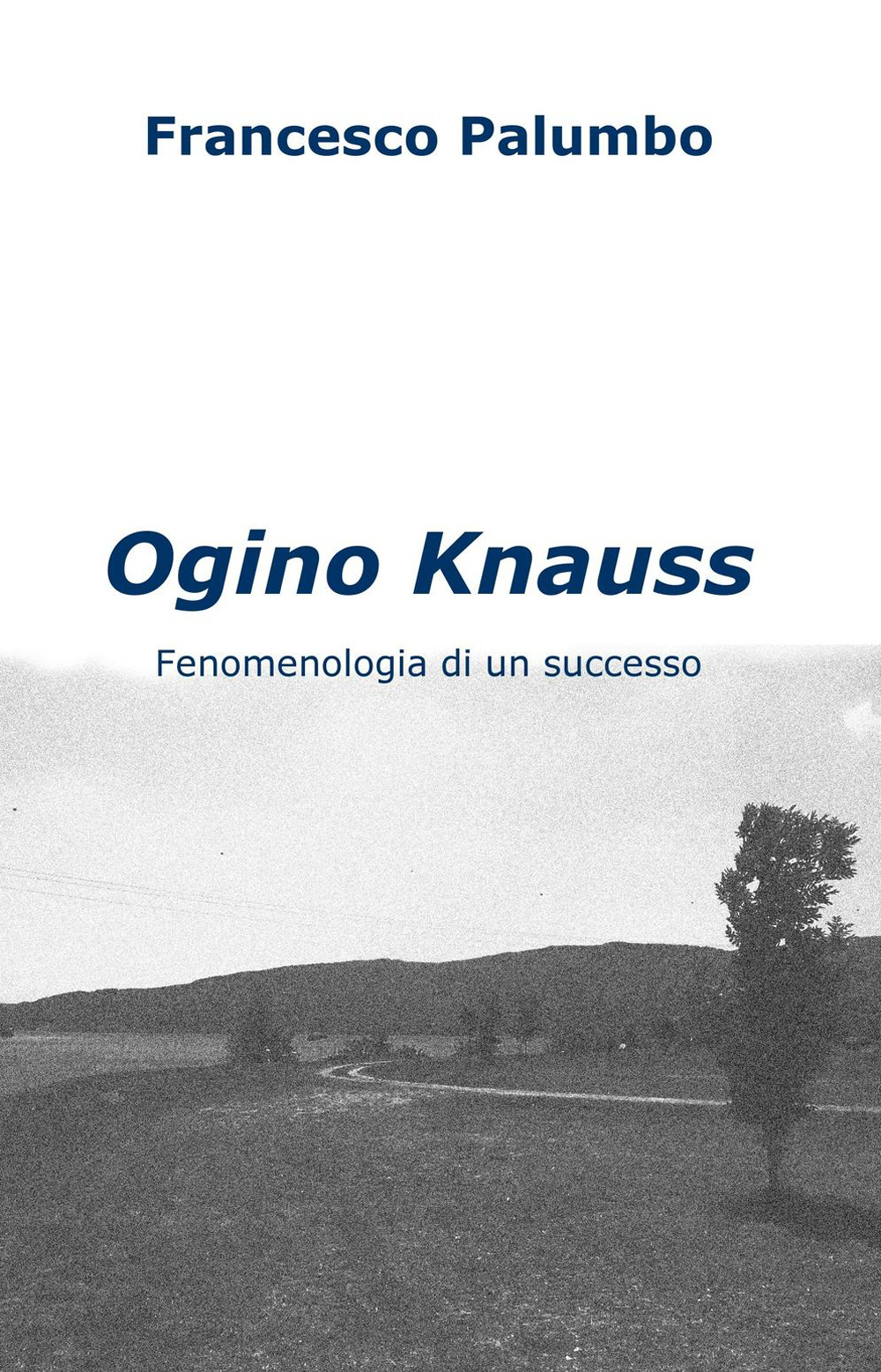 Ogino Knauss. Fenomenologia di un successo