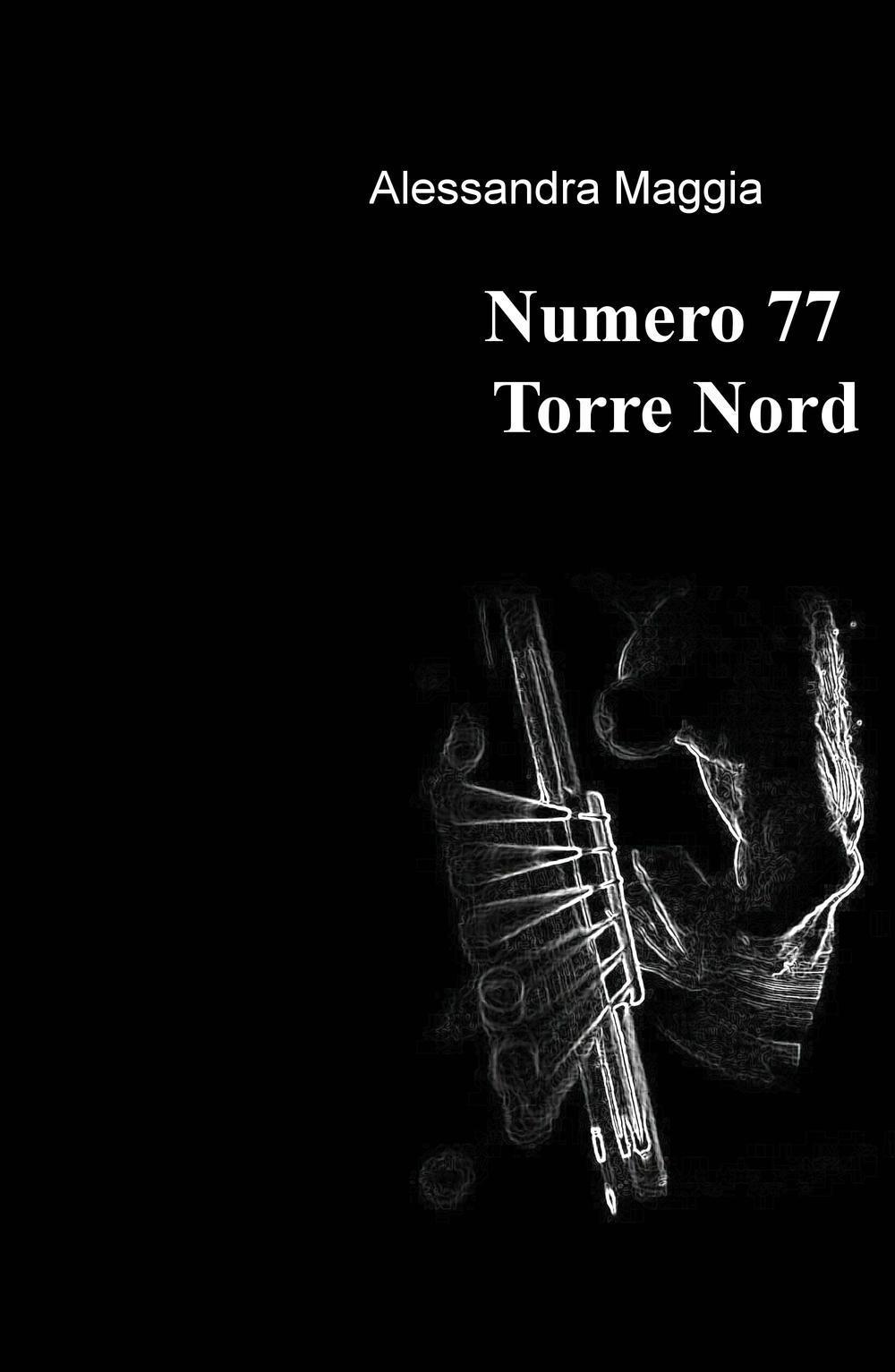 Numero 77 Torre Nord
