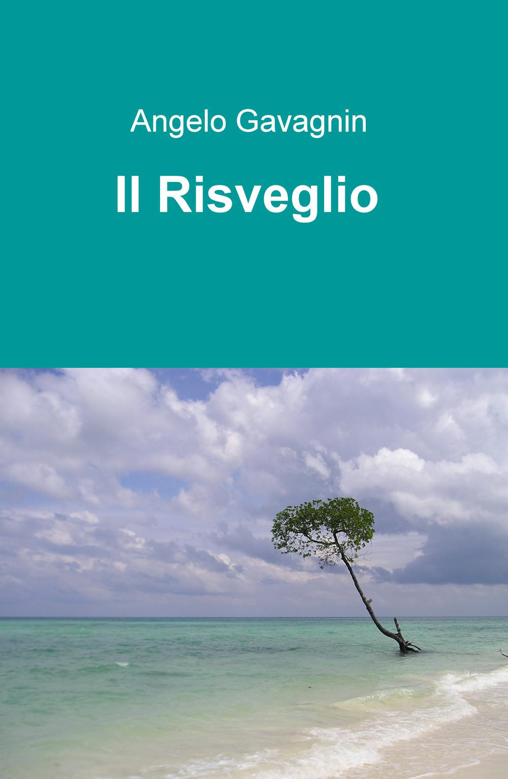 Il risveglio