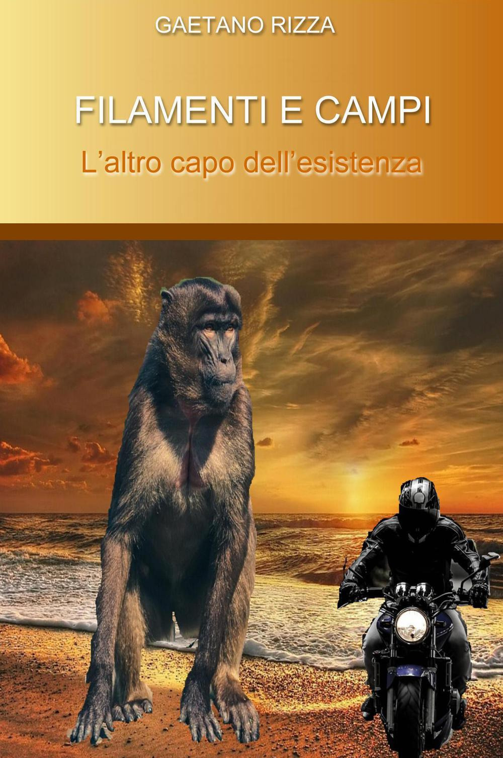 Filamenti e campi. L'altro capo dell'esistenza