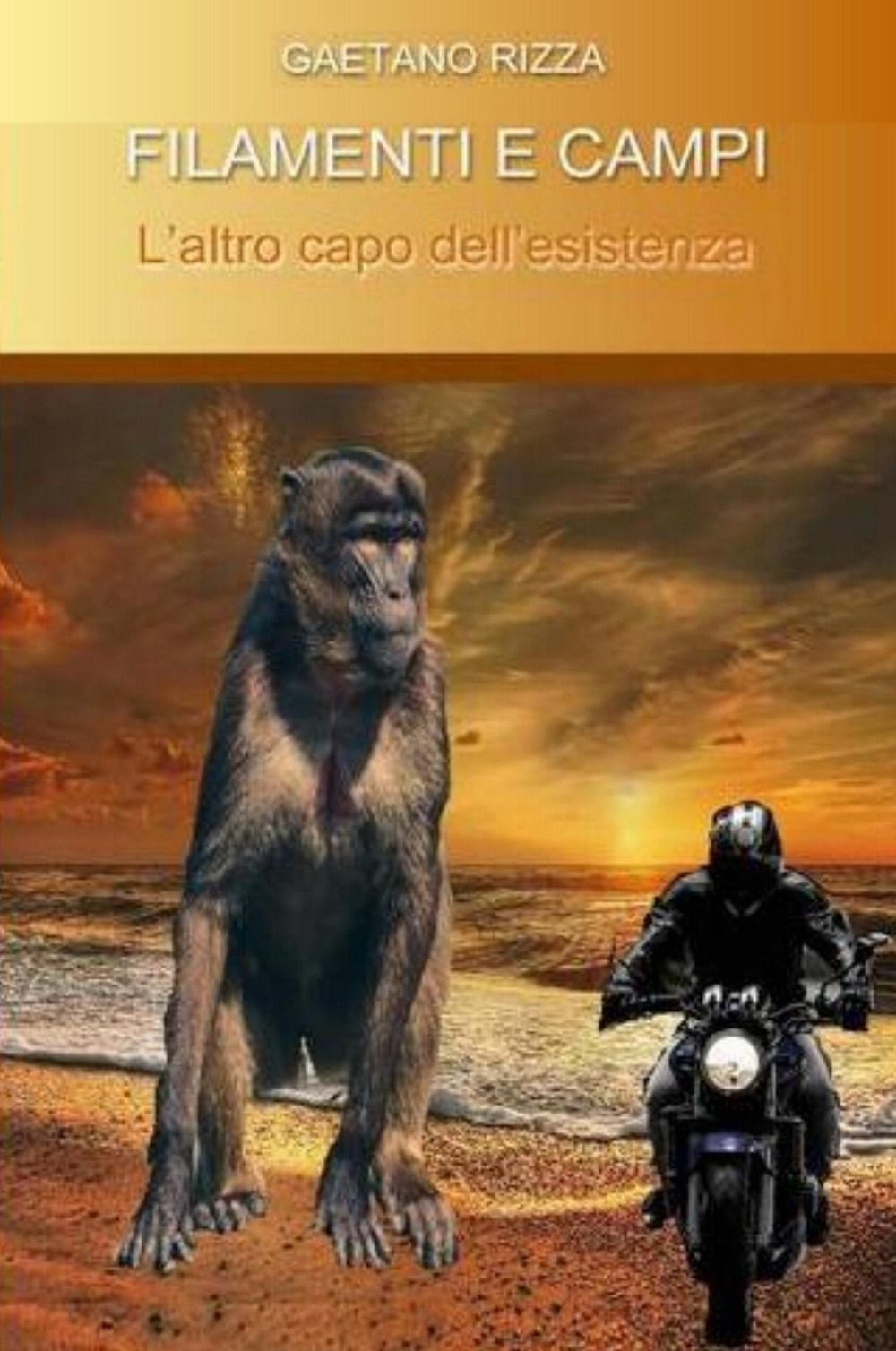 Filamenti e campi. L'altro capo dell'esistenza