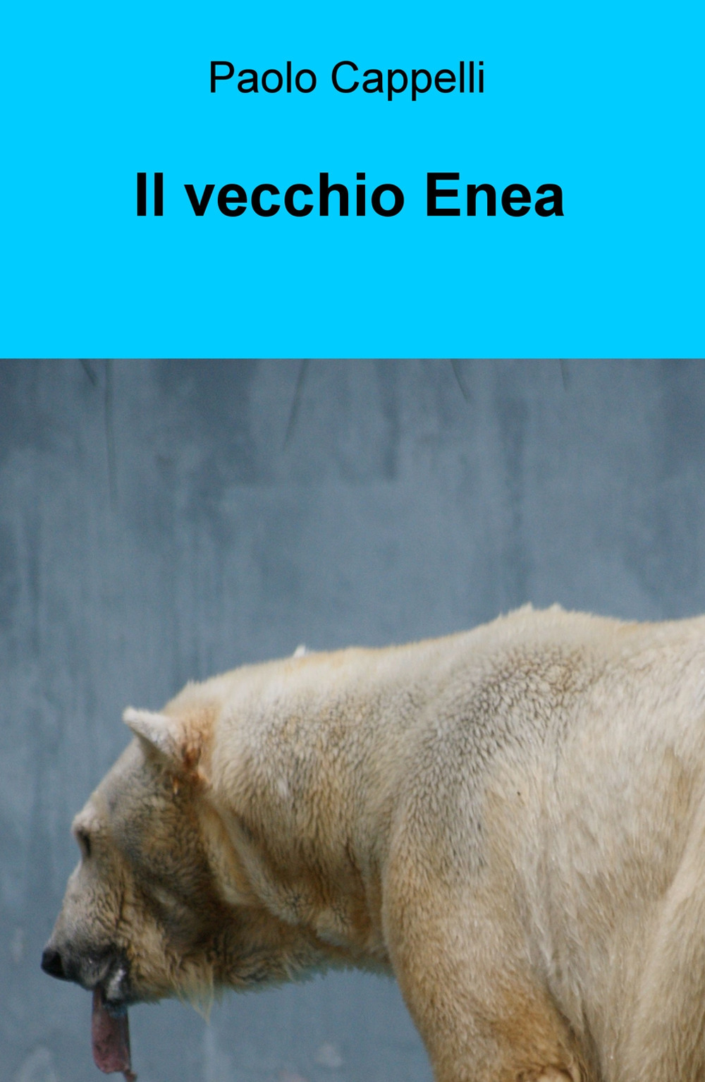 Il vecchio Enea