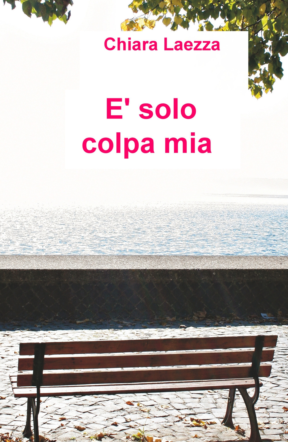 È solo colpa mia